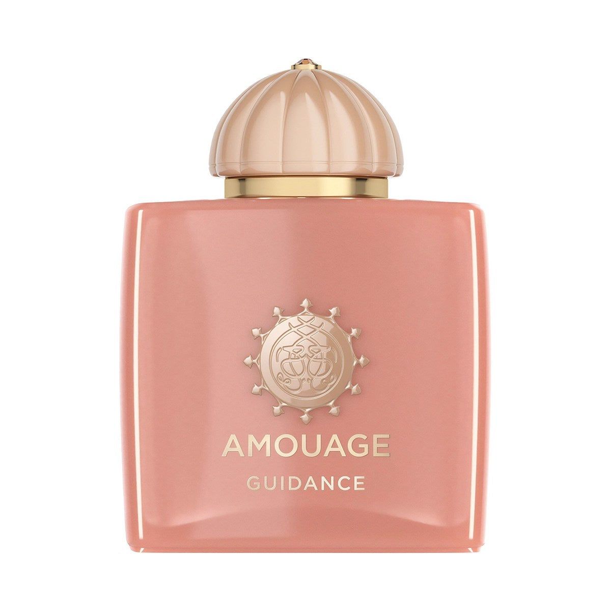 Guidance 100 ml