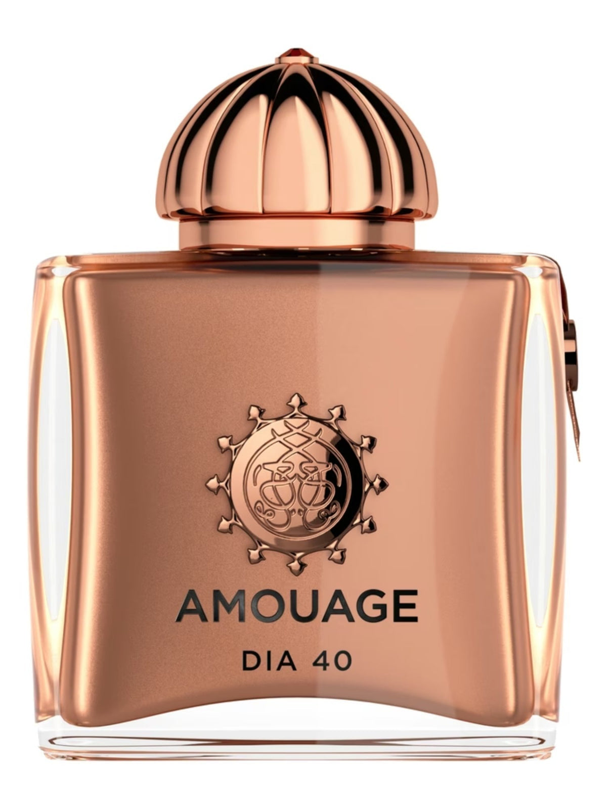 Dia 40 100 ml
