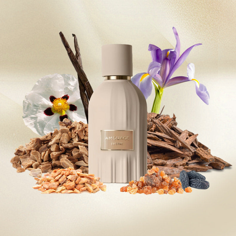 AMOUAGE LUSTRE 100ml